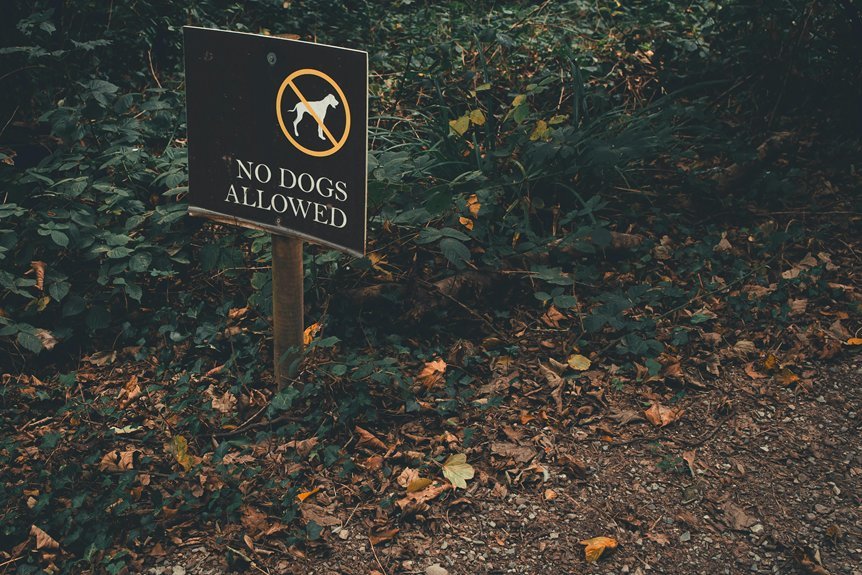 legal requirements for backyard dog burial